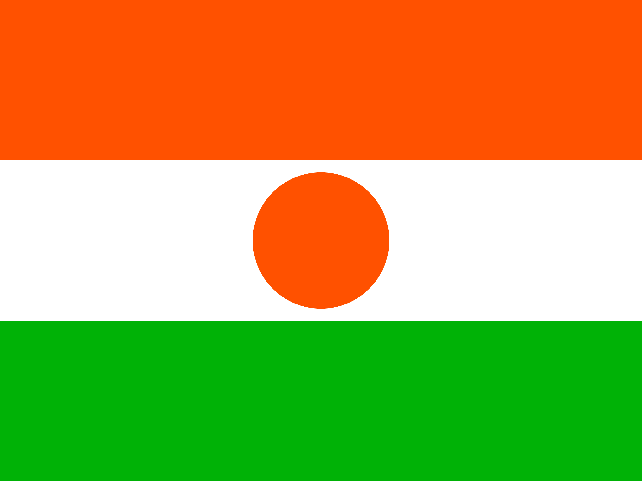 尼日尔 国旗