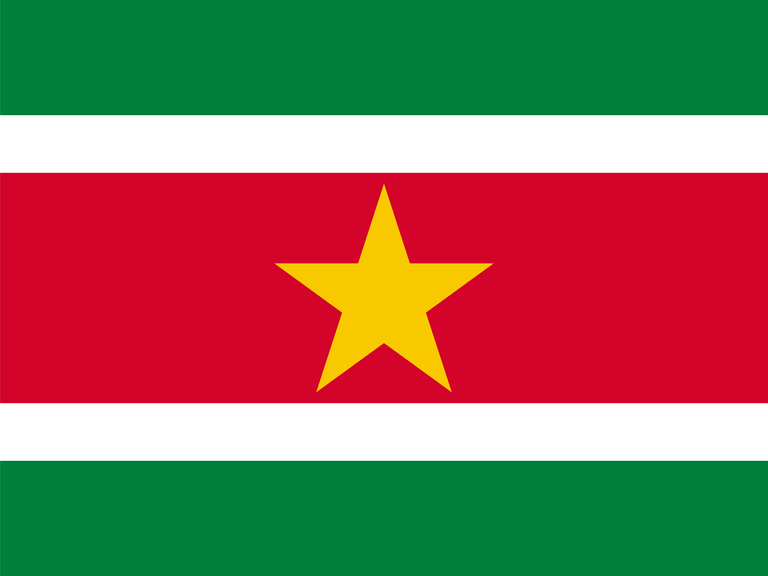 苏里南 国旗