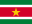 苏里南 国旗